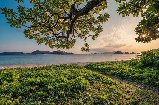 What Does Naturally-Derived Really Mean?
