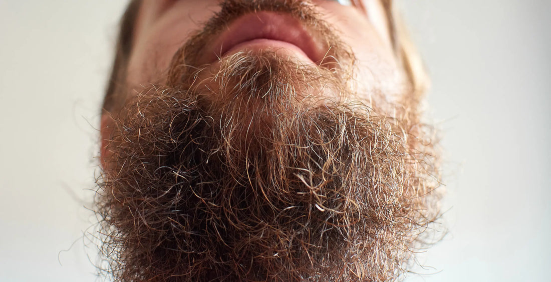 Why Does My Beard Stick Out?