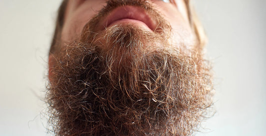Why Does My Beard Stick Out?